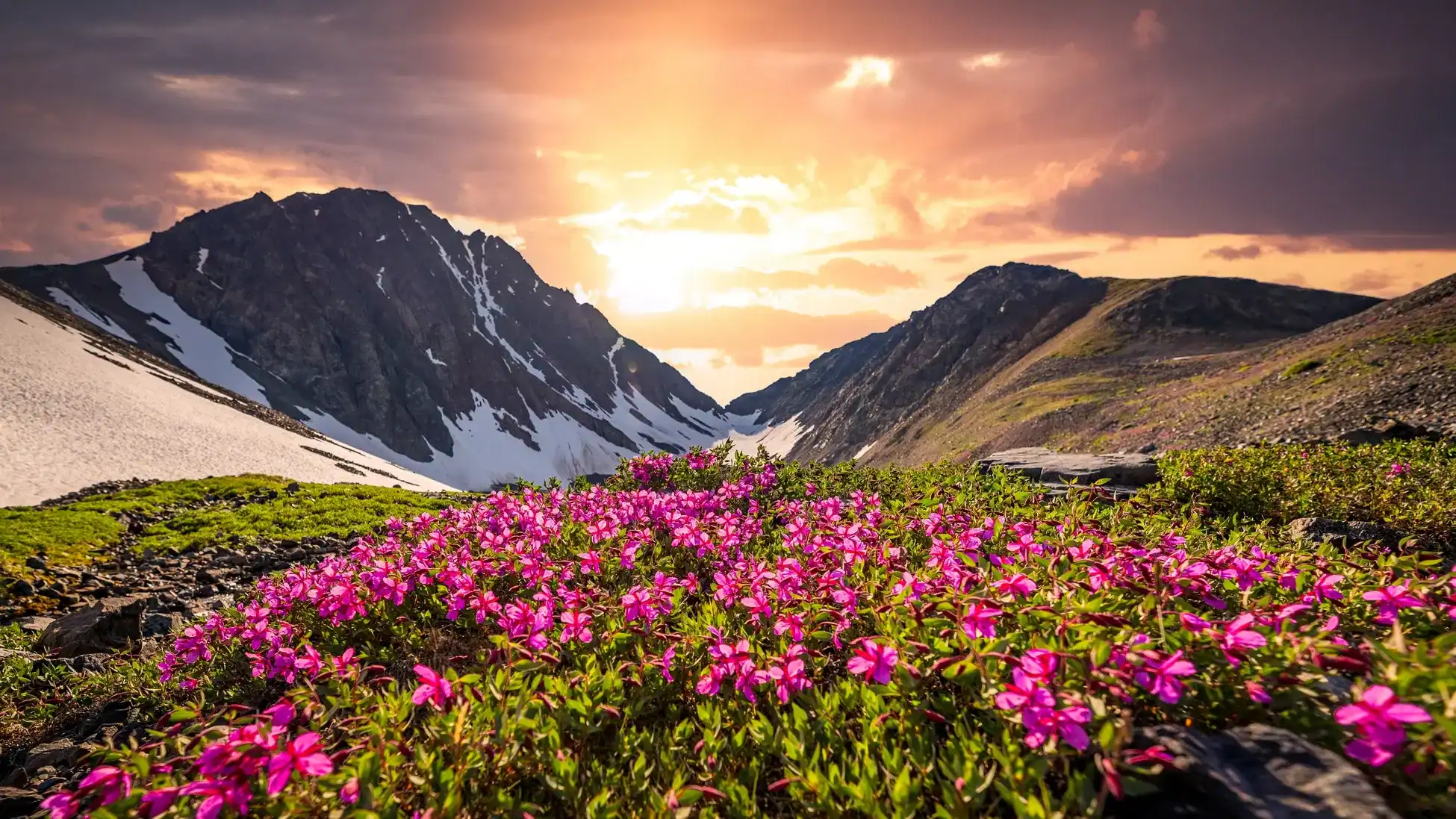 7. Valley of Flowers Trek, Uttarakhand