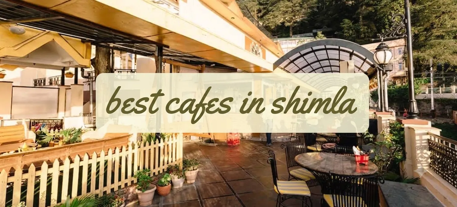 Best Cafes in Shimla: 6 Cafes for Coffee & Food | Boonies