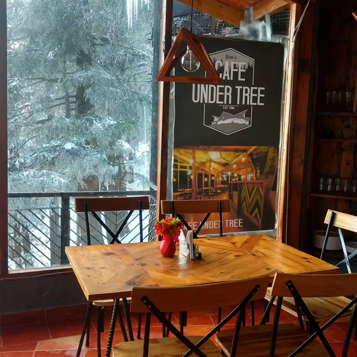 Cafe Under Tree Shimla: A Peaceful Cafe Near Jakhoo Temple.