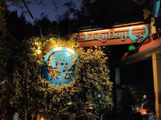 The Lazy Dog Lounge