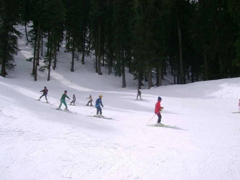 Top Ski Slopes in Narkanda and Who They Are Best For