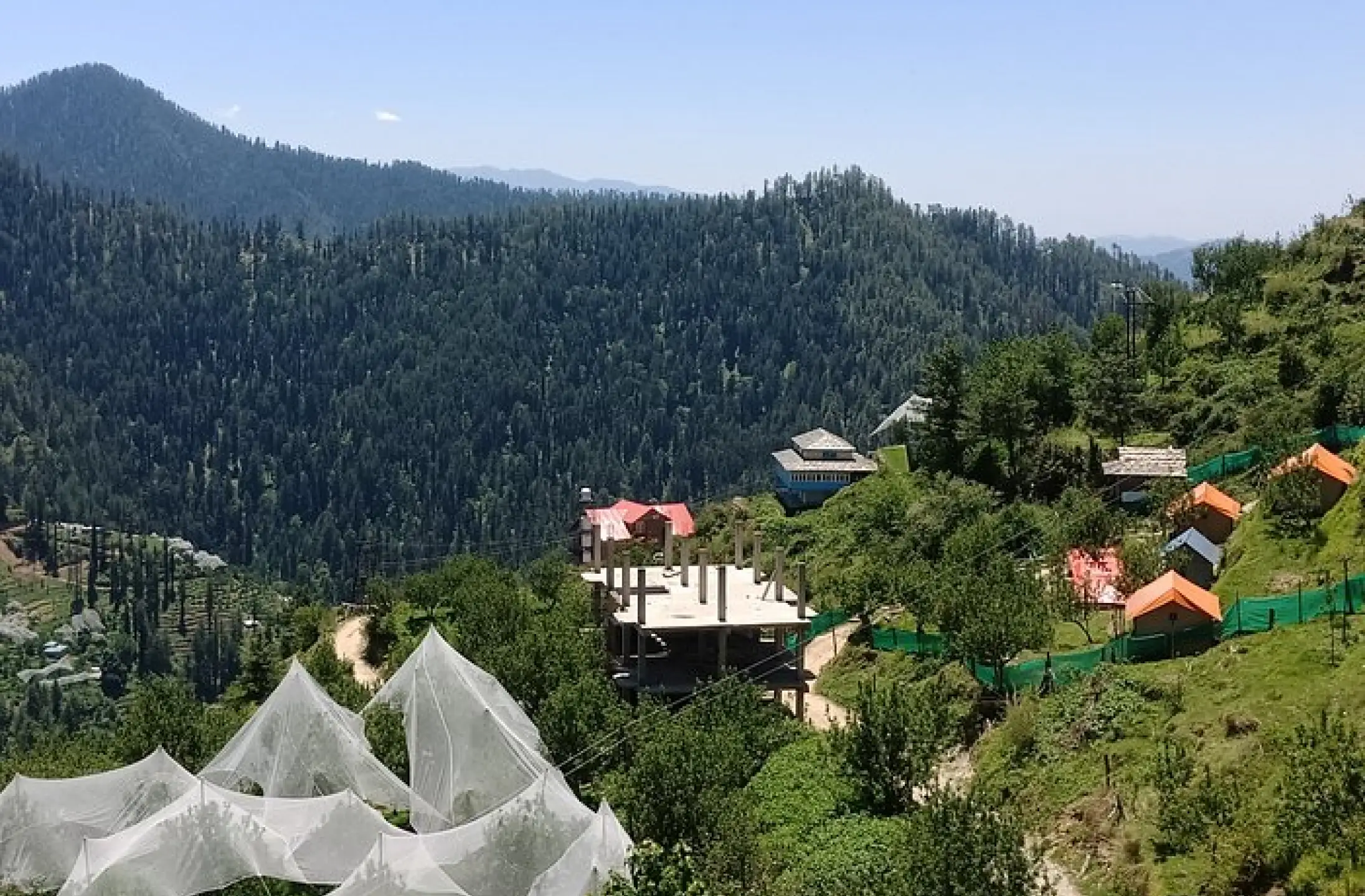Guest Photo 18
